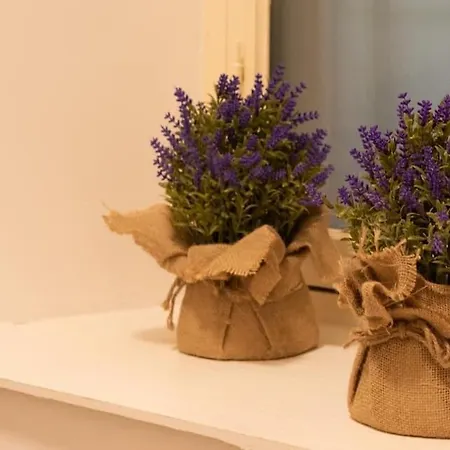 Appartamento Russomanno Côme